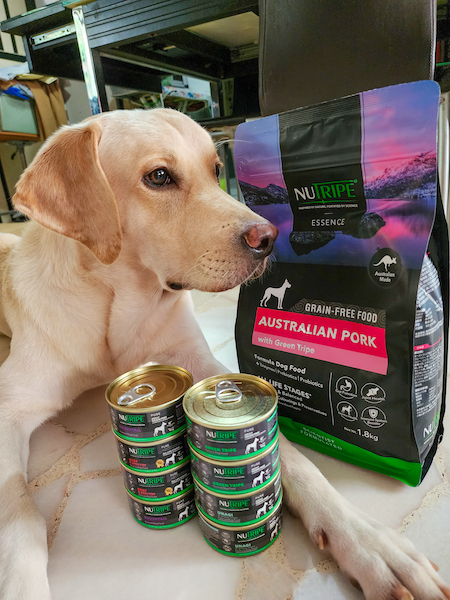 Read more about the article Unveiling the Goodness: NUTRIPE Dog and Cat Food Review